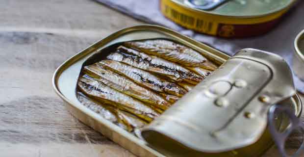 Ikan Teri yang Kaya Kandungan Omega-3 tips memilih ikan kaya kandungan omega-3