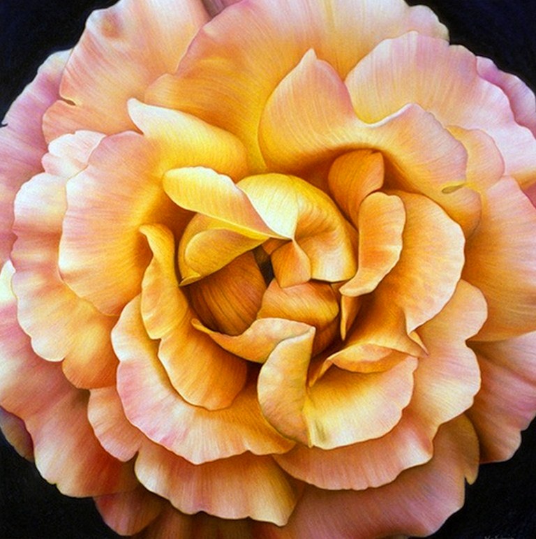 Imágenes Arte Pinturas: Flores para Pintar al Óleo Imágenes Arte Pinturas: Flores para Pintar al Óleo