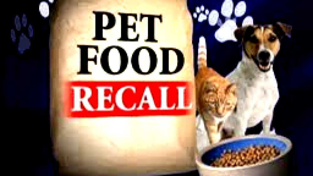 2007 pet food recalls