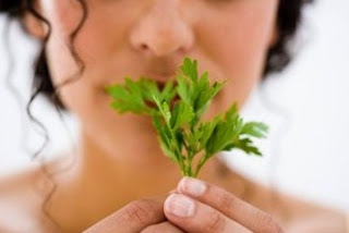 manfaat daun seledri untuk kesehatan cara merebus daun seledri, cara mengolah daun seledri, efek samping daun seledri, manfaat daun seledri untuk wajah, khasiat daun seledri untuk pria, khasiat jus seledri, khasiat daun seledri untuk menurunkan berat badan, manfaat daun seledri bagi penderita hipertensi