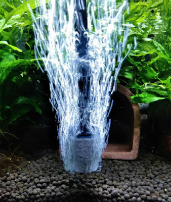 いぶきエアストーン#180エア全開接写