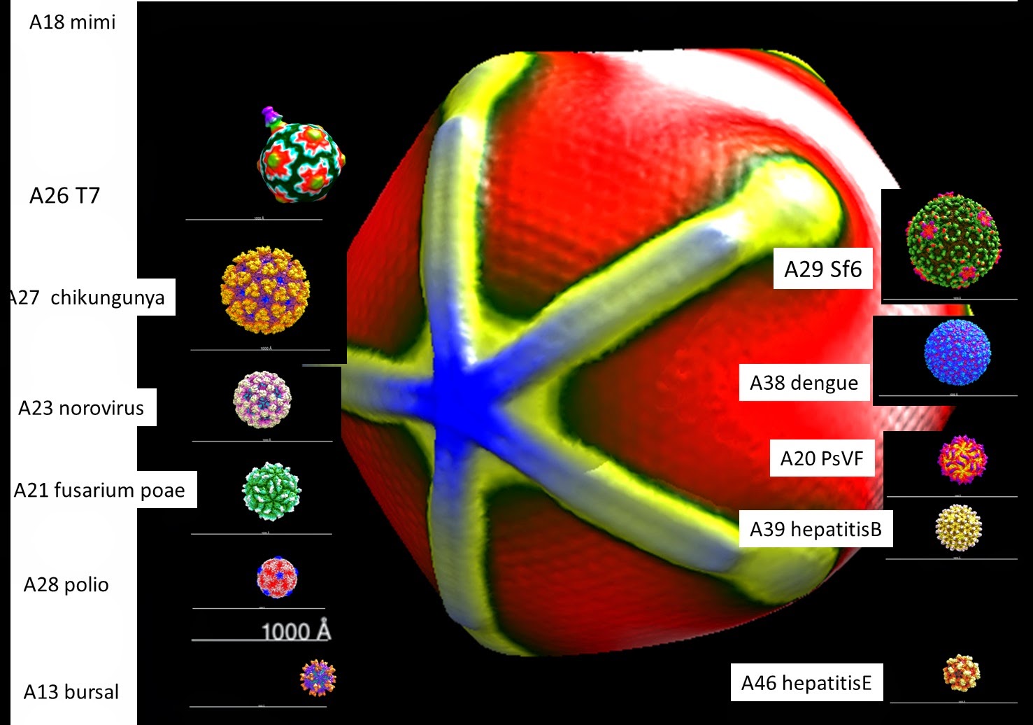 tropicallifestyleUSA Juli 2014