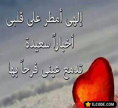 e334fefff44d4f7fc20b106749fcc132