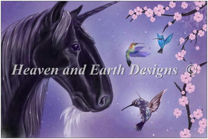 AEUS-1599 Hummingbird Waltz + PM HAED artwork by Ash Evans " AEUS-1599 Hummingbird Waltz + PM