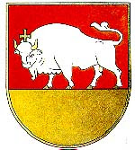 origine image : http://www.kaunas.lt/apie-kauna/kauno-zenklai/veliava-ir-herbas/