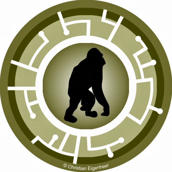 1000 Images About Wild Kratts On Pinterest 1000-images-about-wild-kratts-on-pinterest