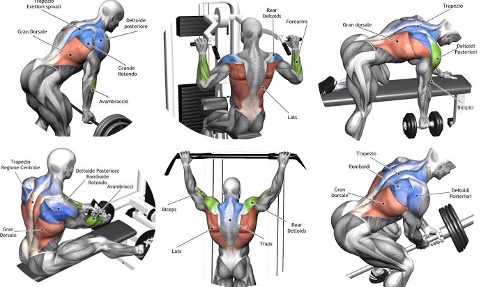 Back Exercise Chart