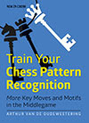 http://www.bookdepository.com/Train-Your-Chess-Pattern-Recognition-Arthur-Van-De-Oudeweetering-International-Master-Van-De-Oudeweetering/9789056916138?ref=grid-view/?a_aid=2501197619760125