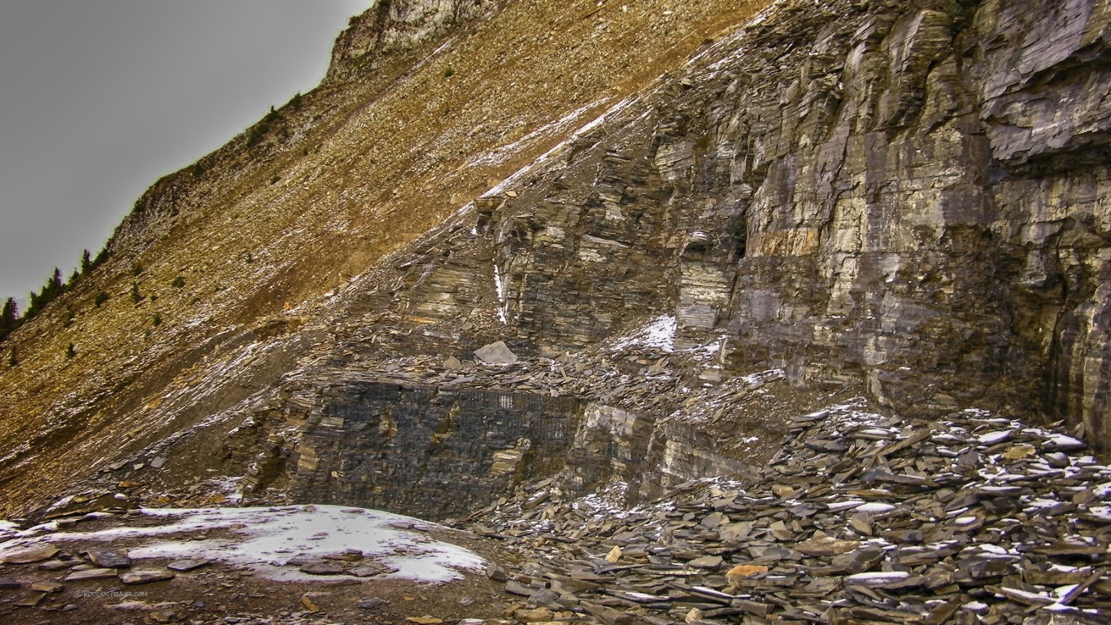 Burgess Shale, B.C. Roc Doc Travel
