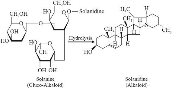 Solanidine 