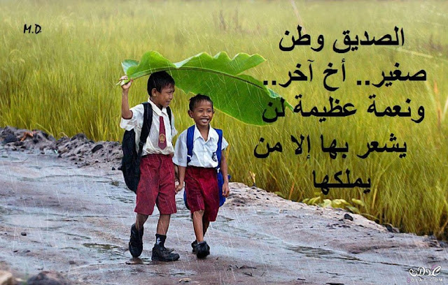 حكم مصورة رائعة
