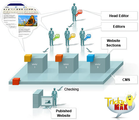 Content Document Management System