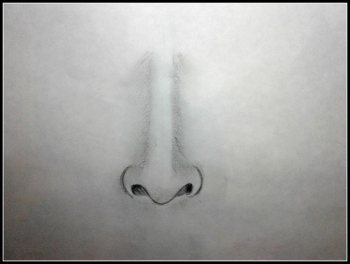 nose drawing nose drawing