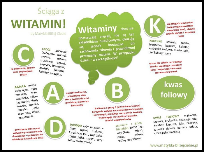 Wyjaśnij Jaką Rolę Odgrywają Witaminy W Prawidłowym Funkcjonowaniu Organizmu Zdrowa dieta- właściwości poszczególnych witamin i soli mineralnych