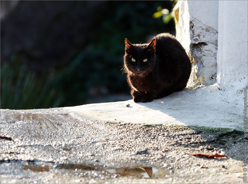 Афины, Анафиотика, Αναφιώτικα, Anafiotika, Athens, Αθηνα Афины, Анафиотика, Αναφιώτικα, Anafiotika, Athens, Αθηνα