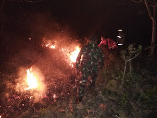 LAHAN TEBU SELUAS 10 HEKTAR HABIS DILALAP SI JAGO MERAH LAHAN TEBU SELUAS 10 HEKTAR HABIS DILALAP SI JAGO MERAH