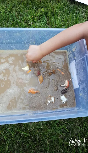 Muddy Farm Sensory Play is perfect for toddlers and preschoolers to practice cleaning muddy farm animals.