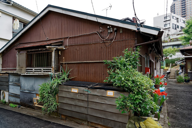 SONY ILCE-9 FE24-240mm F3.5-6.3 OSS(24m) ISO:100 F:5.6 Tv:1/80s