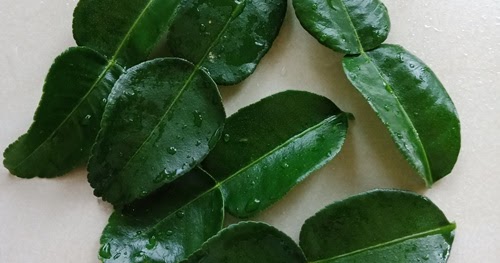 kitchen flavours: Kaffir Lime Leaf Posset with Fresh Papaya