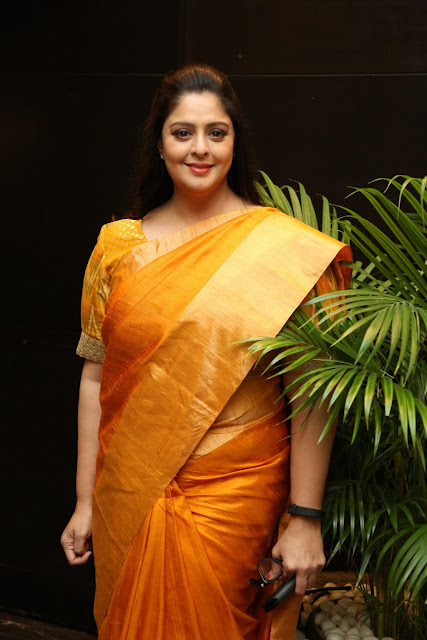 Hot Actress NAGAMA stills in saree during at TSR National Film Award Winners Announcement