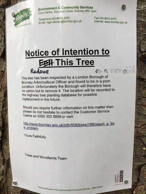 Notice on Horse-chestnut trees. The Knoll, Hayes, 29 October 2016 Notice on Horse-chestnut trees. The Knoll, Hayes, 29 October 2016