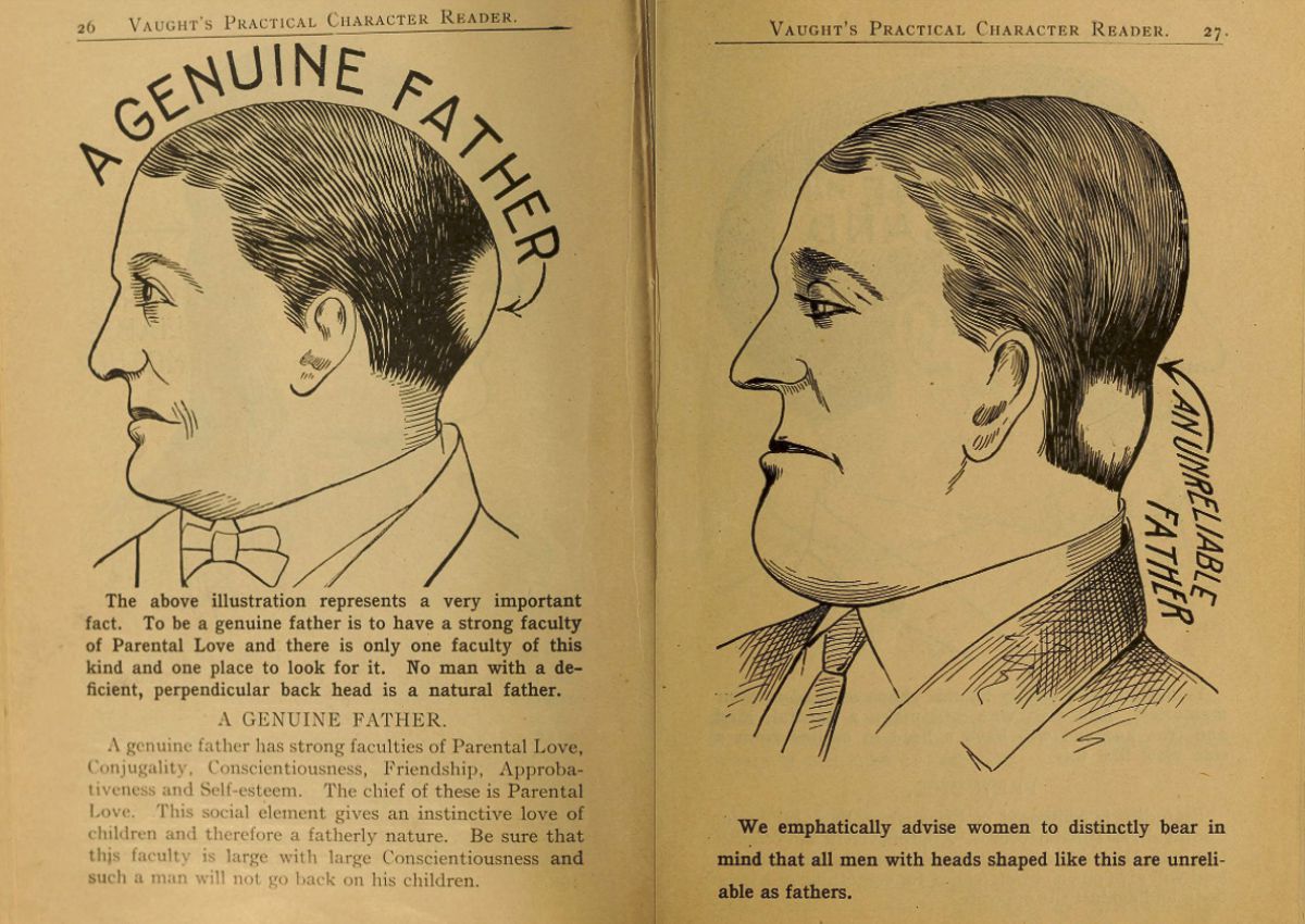Pages from a weird phrenology book that claimed to ascertain a person s character by the shape of his head and other facial features  1902 - 53