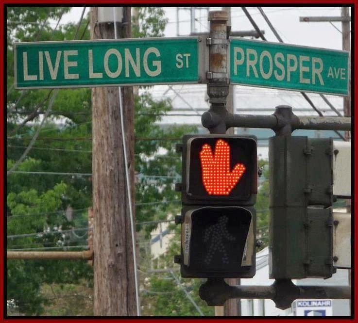 Live Long and Prosper