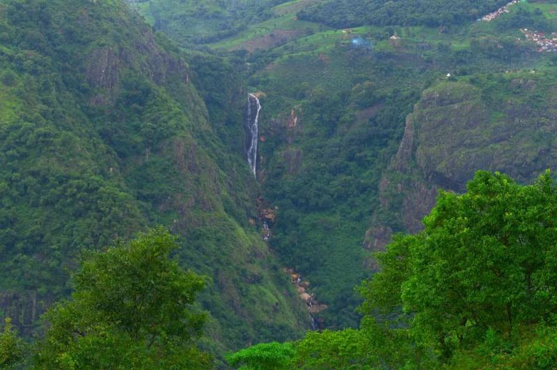 Kolli Kolli
