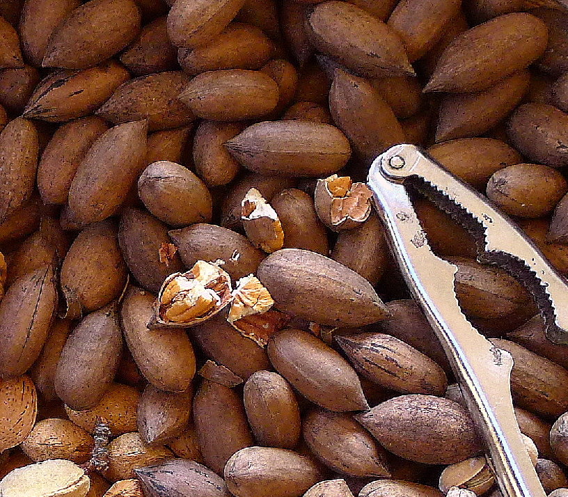 MY KITCHEN IN SPAIN NUTS AND DRIED FRUITS FOR HOLIDAY TREATS