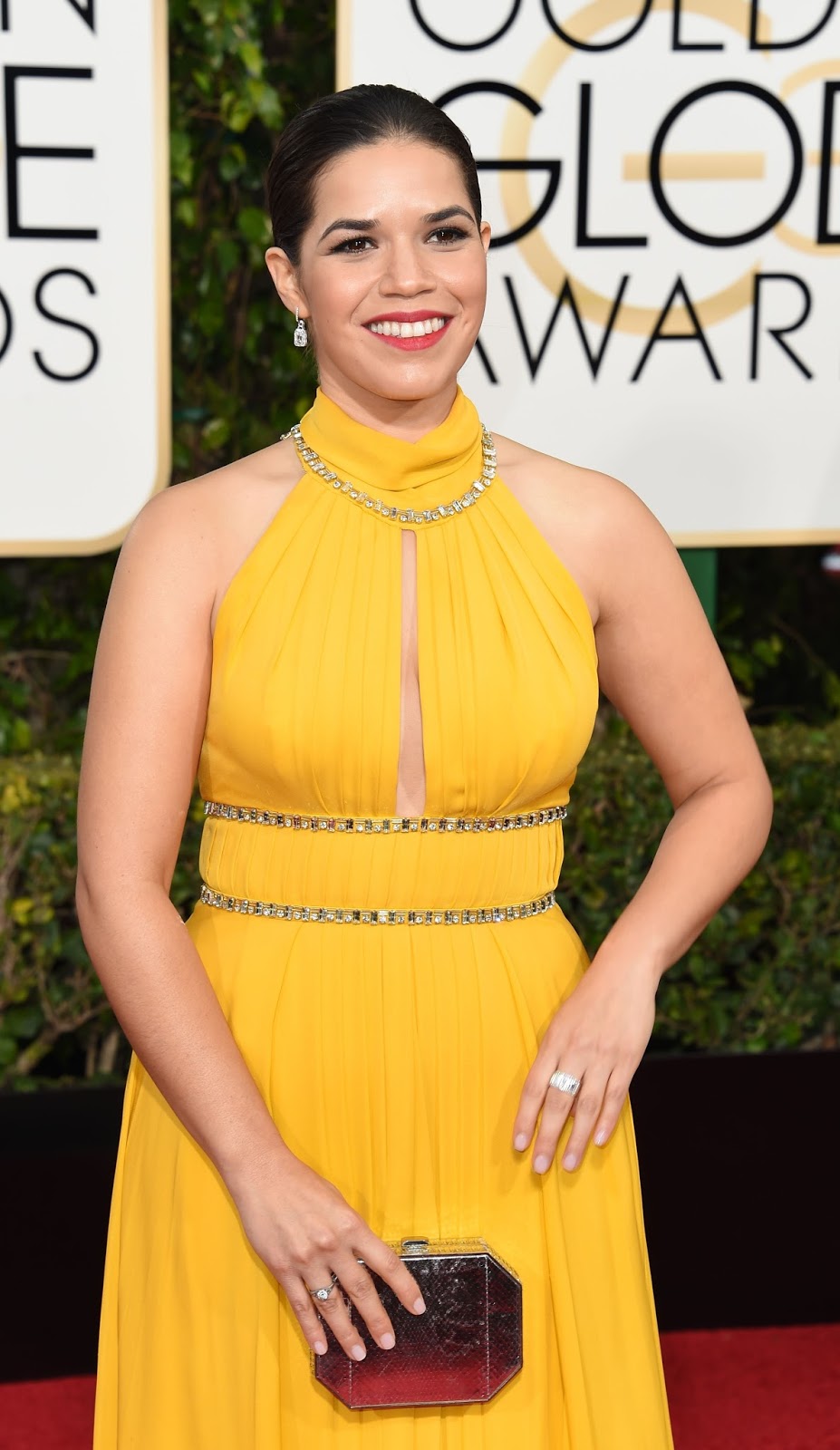 73rd Golden Globe Awards 2016 in HD Pictures HD Photos