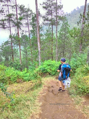 mendaki gunung andong