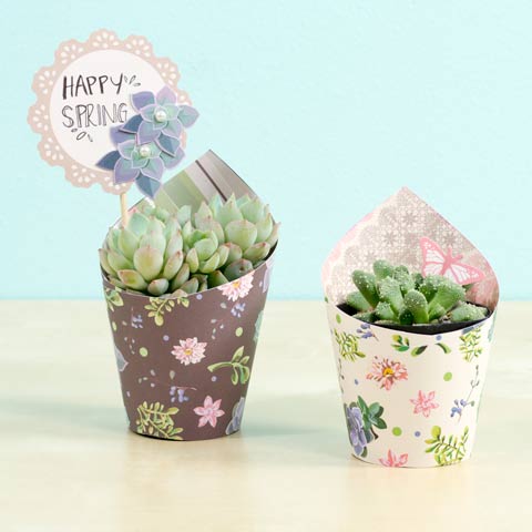 sei lifestyle decorate a simple plant for gift giving how to wrap flower pots with paper