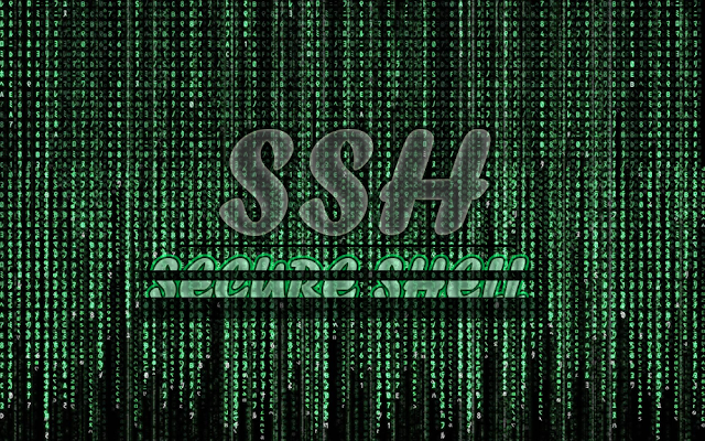 Apakah bermain forex itu haram