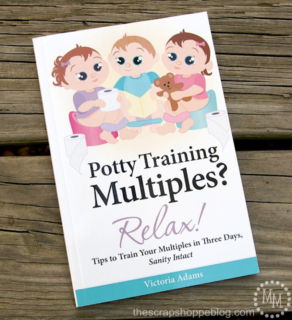 potty training multiples book