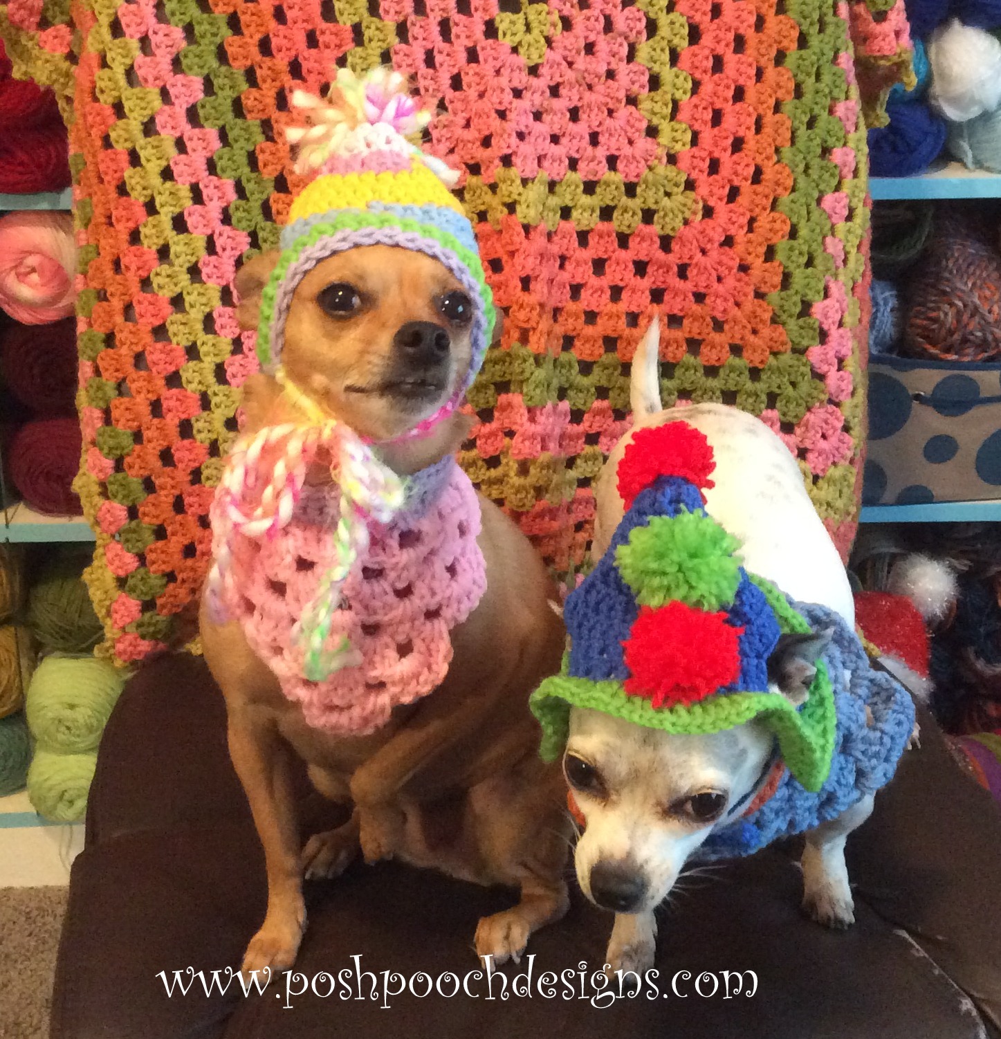 Posh Pooch Designs Dog Clothes Birthday Dog Hat Crochet Pattern