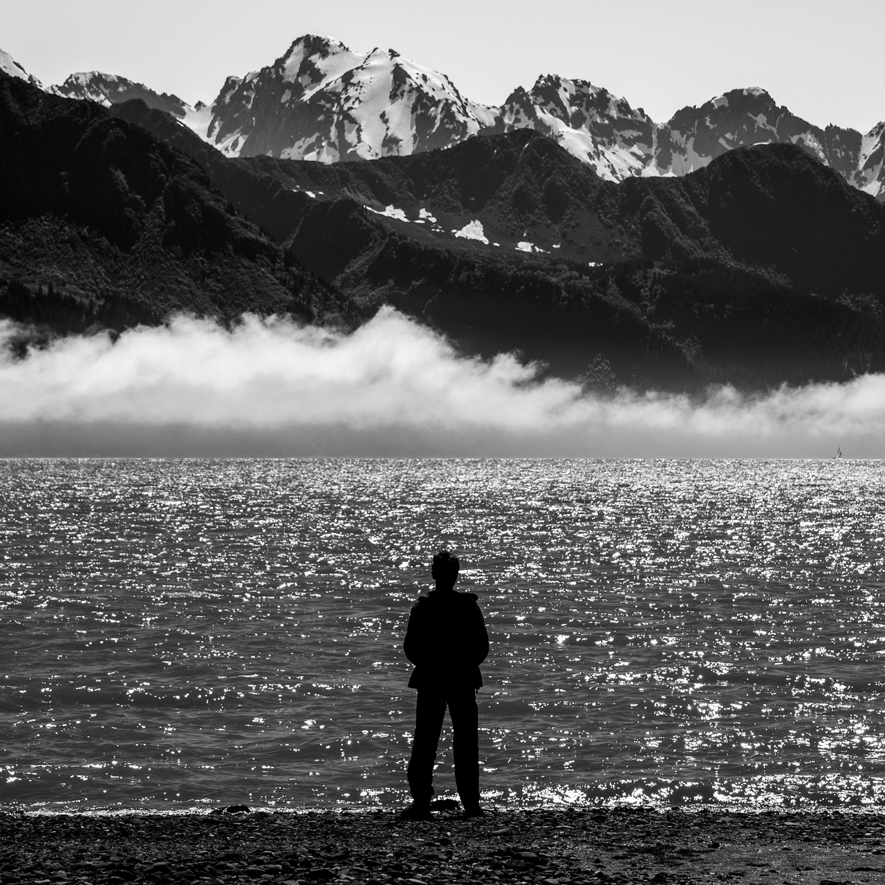 Tao of Photography by Andy Ilachinski