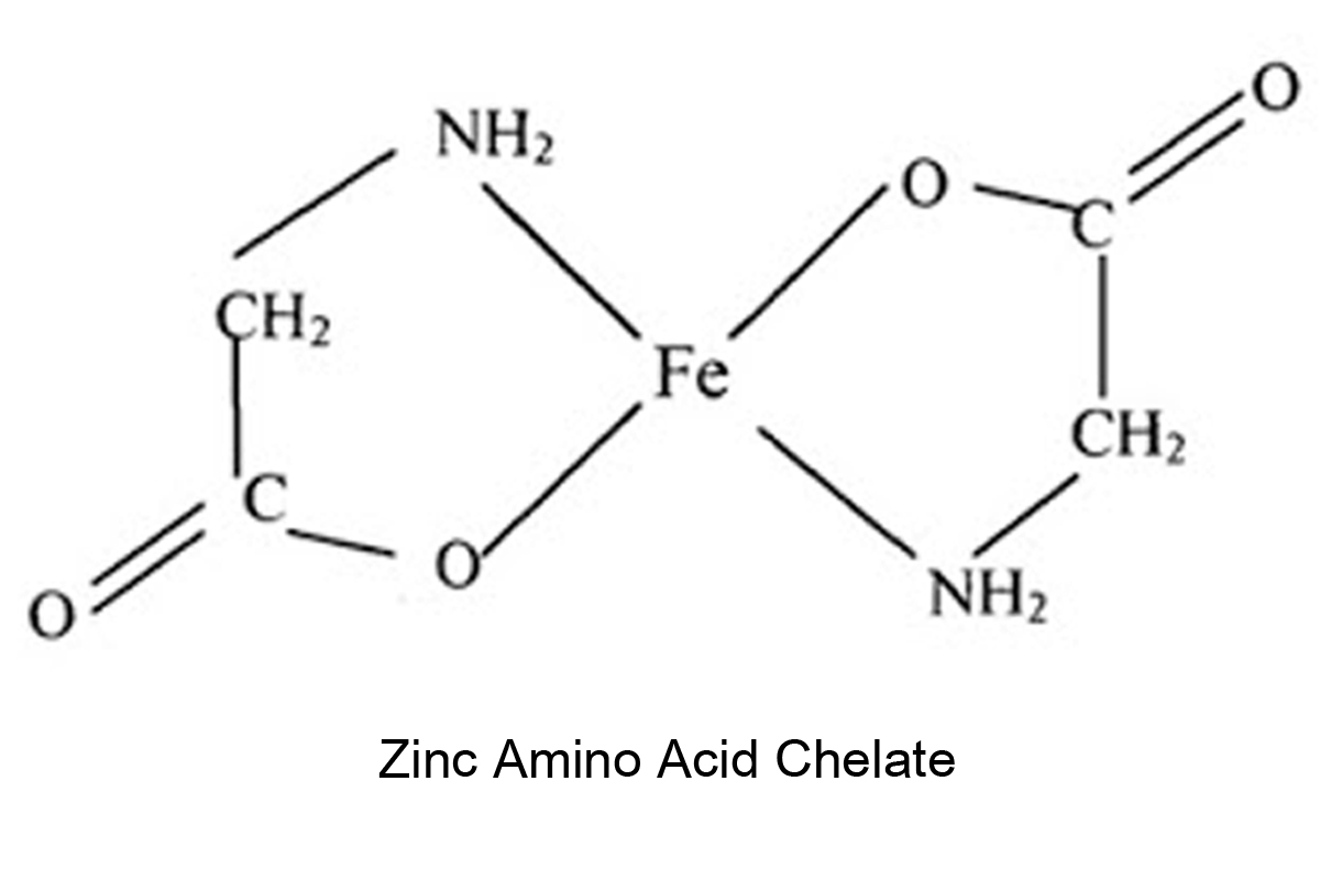 ประโยชน์ของ “ซิงค์ อะมิโน แอซิด คีเลต” (Zinc Amino Acid Chelate)