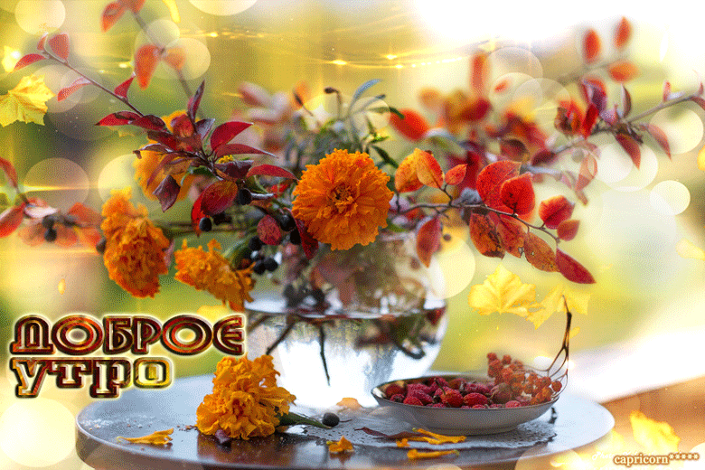 https://4.bp.blogspot.com/-RTllsfl06WE/WasMwmT_amI/AAAAAAAAv7k/7cpUcLmaWFYDtEE2DqRdPhTI-gjiWOCXQCLcBGAs/s1600/10.09.16%2B-%2B1.gif