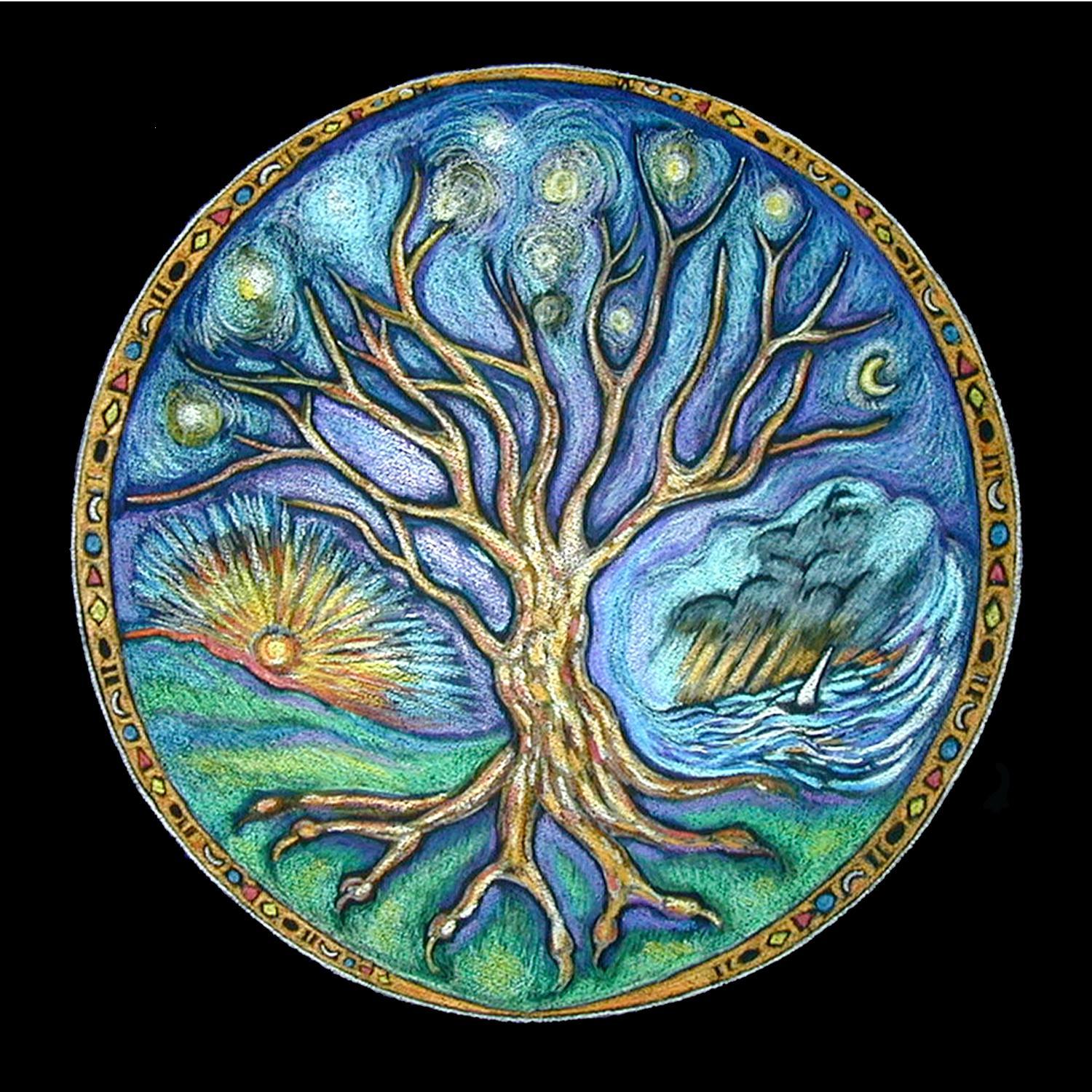 Jim Hibbett's Reflections: DREAM: TREE OF LIFEfeb 1, 2011(edited