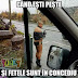 Pula pizda coaiele au inceput concediile