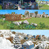 wars of worlds game portfolio