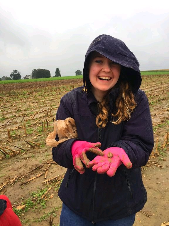 Dishfunctional Designs A Rockhound's Crystal Hunting Field Trip