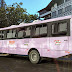 Blumenau recebe ônibus itinerante com ações voltadas para as mulheres