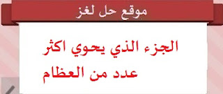 الجزء الذي يحوي اكثر عدد من العظام الجزء الذي يحوي اكثر عدد من العظام