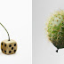 Geniales imágenes surrealistas.