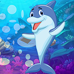 Games4King Dolphin Escape Walkthrough