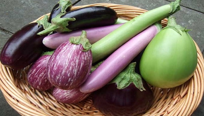 Why Do You Eat Brinjal During Pregnancy Ofuran why-do-you-eat-brinjal-during-pregnancy-ofuran