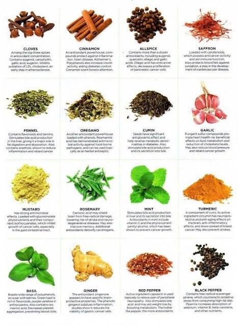 herbs-are-really-creating-flavours-in-food