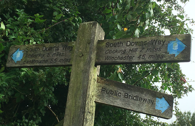 FitBits | Cycling the South Downs Way - Petersfield to Amberley FitBits | Cycling the South Downs Way - Petersfield to Amberley