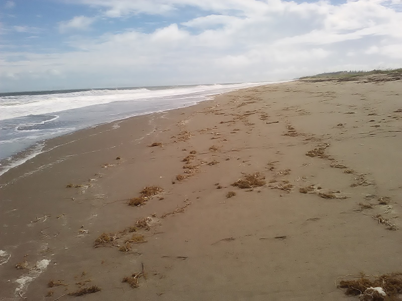 The Treasure Beaches Report Direct From Florida's Treasure Coast. 10